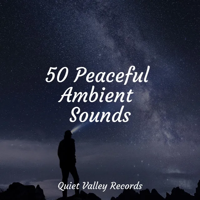 Ambient Sounds