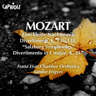 Mozart, W.A.: Kleine Nachtmusik (Eine) / Salzburg Symphonies Nos. 1-3 / Divertimento in F Major, K. 247 by Sandor Frigyes