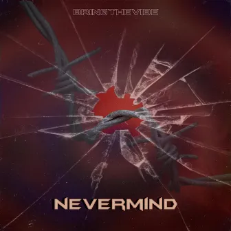 Nevermind by BringTheVibe