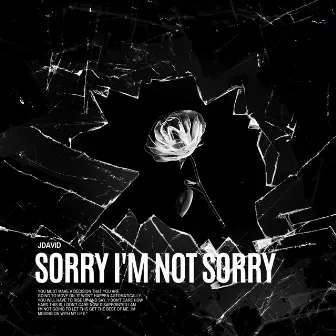 Sorry I'm Not Sorry by Jdavid