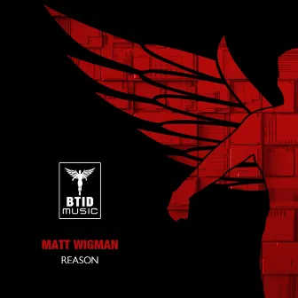 Reason by Matt Wigman