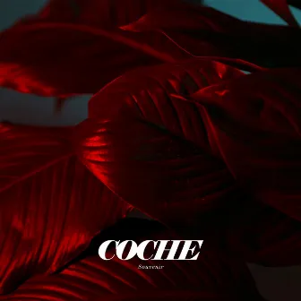 Souvenir by Coche