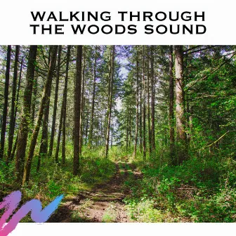 Walking Through The Woods Sound by Nature's Music