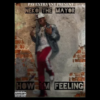 How I’m Feeling by Neko The Mayor