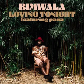 Loving Tonight by Bimwala