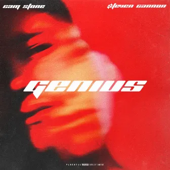 Genius by Cam Stone