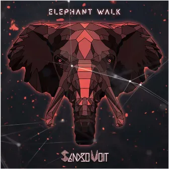 Elephant Walk by Sandro Voit