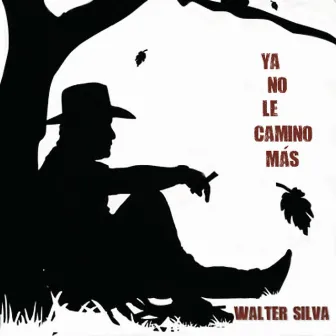 Ya No Le Camino Más by Walter Silva