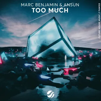 Too Much by Marc Benjamin