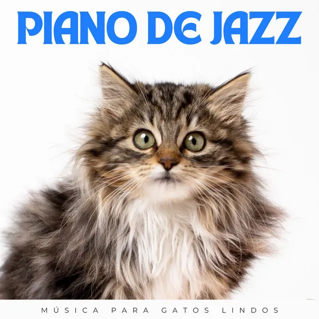 Piano De Jazz: Música Para Gatos Lindos