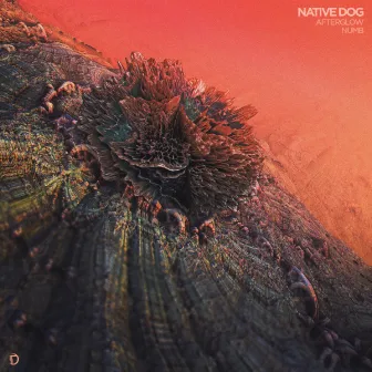 Afterglow / Numb by Native Dog