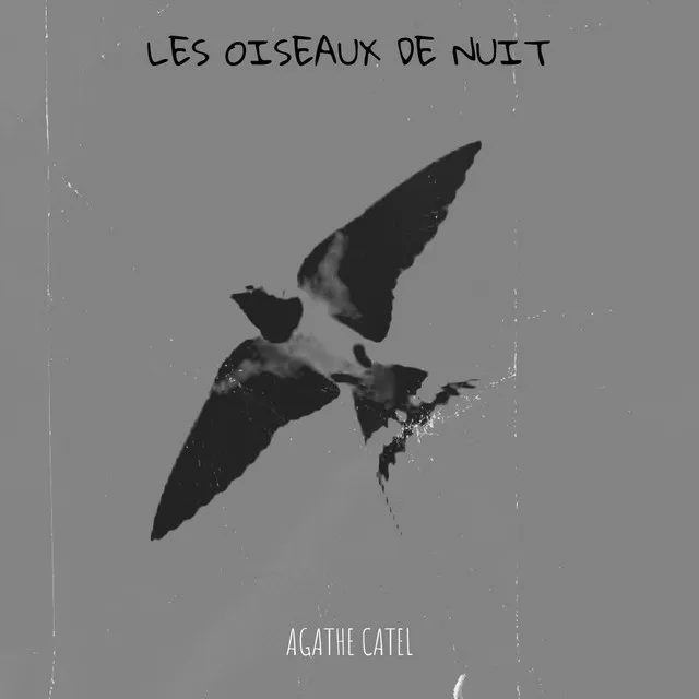 Les oiseaux de nuit