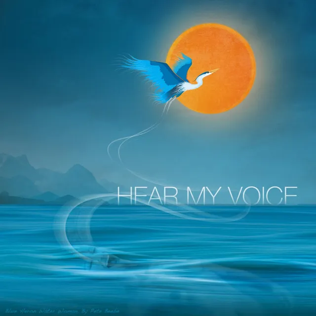 Hear My Voice