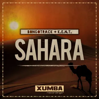 Sahara by Bongotrack