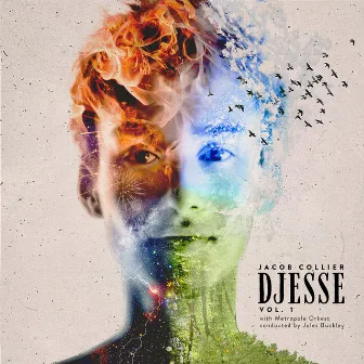 Djesse Vol. 1 by Jacob Collier