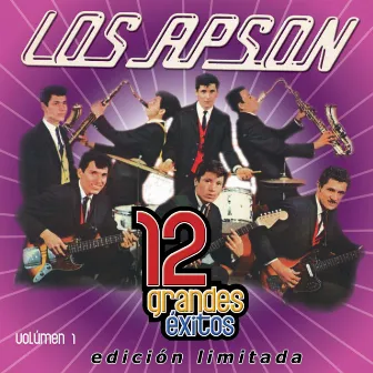 12 Grandes exitos Vol. 1 by Los Apson