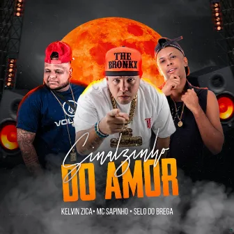 Sinalzinho do Amor by Mc Sapinho