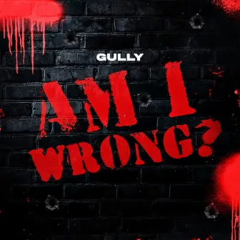 Am I Wrong by Gully