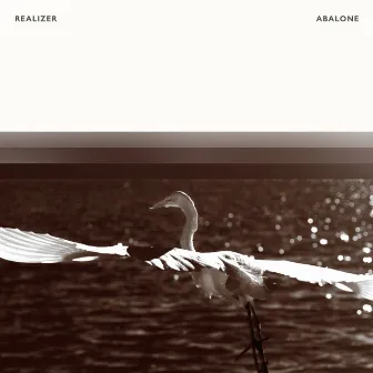 Abalone by Realizer