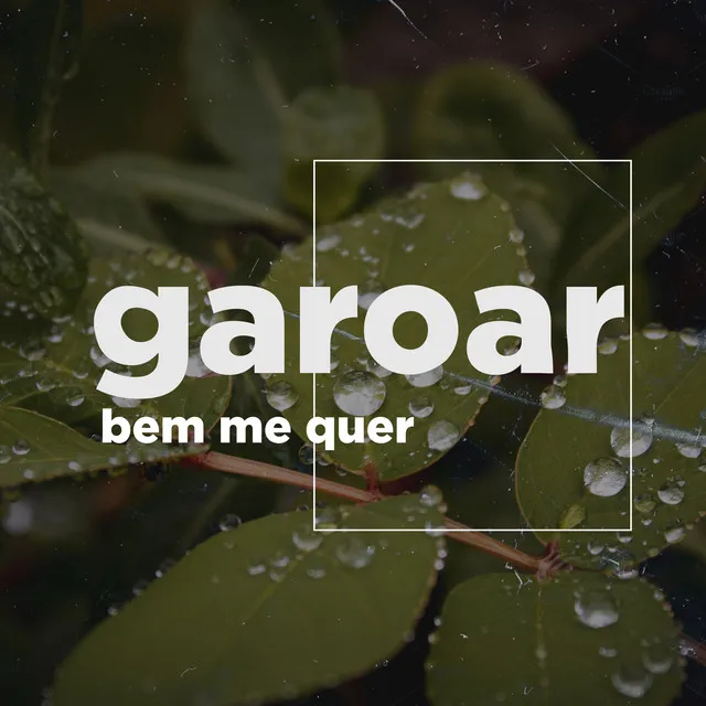 Garoar