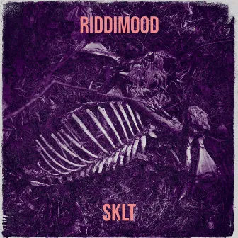 Riddimood by sklt