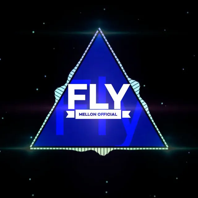 Fly