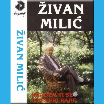 Kradem ti se u večeri rane by Zivan Milic