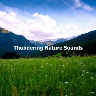 Thundering Nature Sounds by Sounds of Nature: Thunderstom, Rain