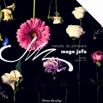 Melodía de Primavera (Original Mix) by Mago Jefa