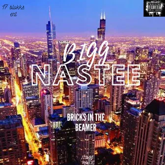 Bricks in the Beamer by Bigg Nastee'