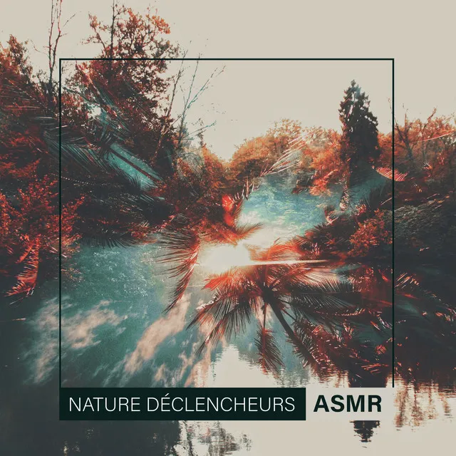 Nature Déclencheurs ASMR: Sauvage Ambiances Sonores