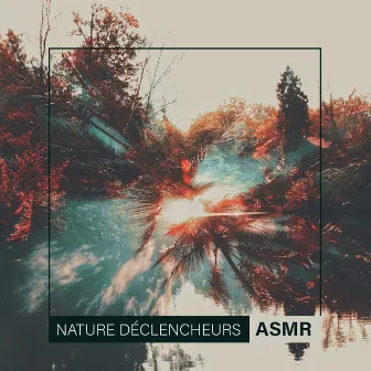 Nature Déclencheurs ASMR: Sauvage Ambiances Sonores by Sophrologie musique d'ambiance