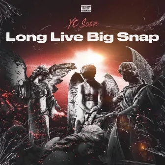 Long Live Big Snap by Unknown Artist