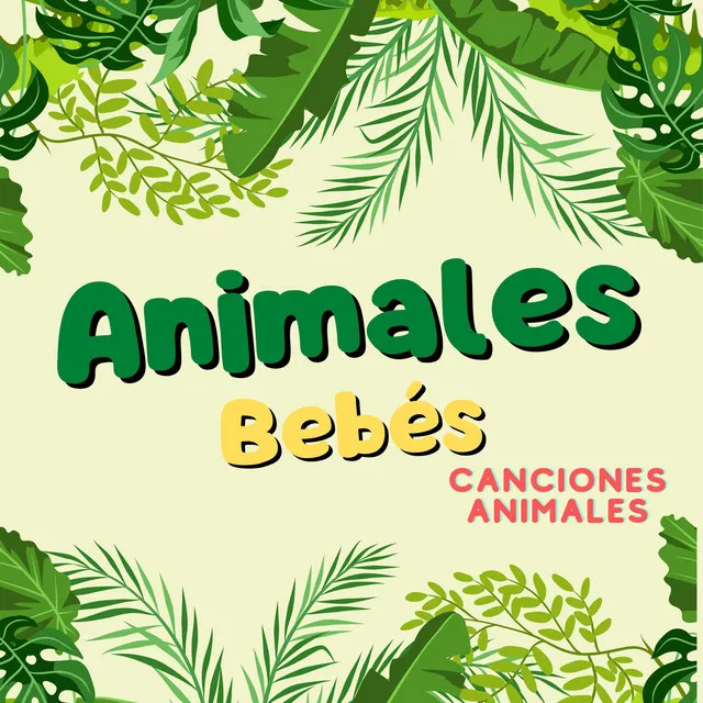 Animales Bebés