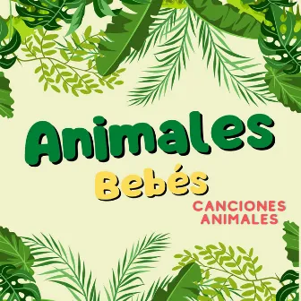 Animales Bebés by Canciones Animales