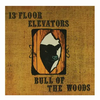 Bull of the Woods by 13th Floor Elevators