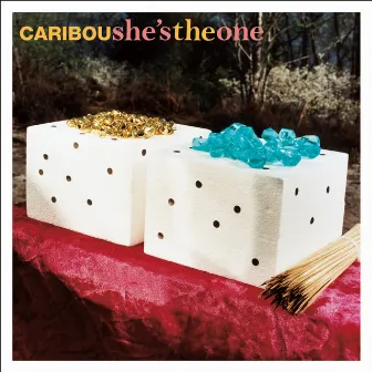 She's the One by Caribou