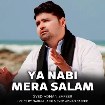 Ya Nabi Mera Salam by Syed Adnan Safeer