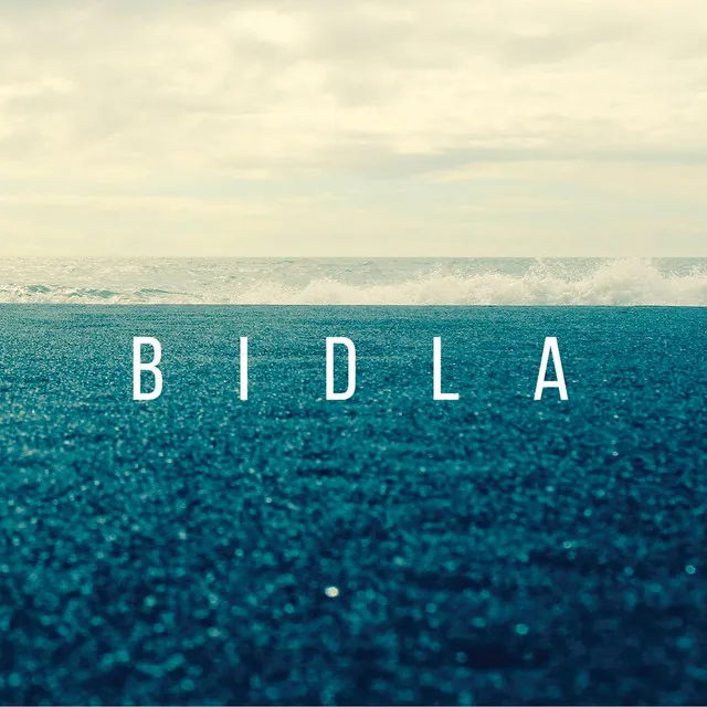 Bidla