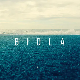 Bidla by Aisling Agnew