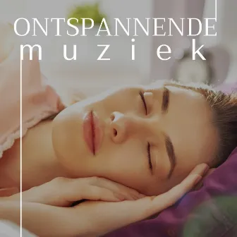 Ontspannende muziek - 20 Liedjes voor Diepe Slaap by Unknown Artist