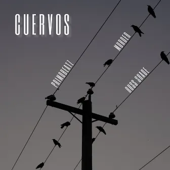 Cuervos by Primobeatz