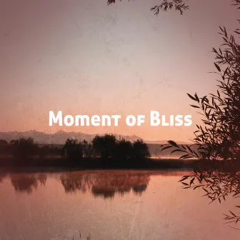 Moment of Bliss by Ambient Sounds