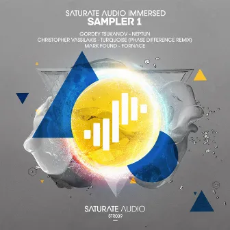 Saturate Audio Immersed Sampler 1 by Christopher Vassilakis