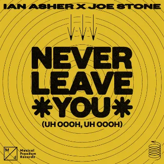 Never Leave You (Uh Oooh, Uh Oooh) by Ian Asher