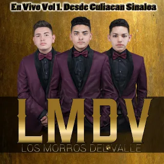 En Vivo Desde Culiacán Sinaloa, Vol. 1 by Los Morros del Valle