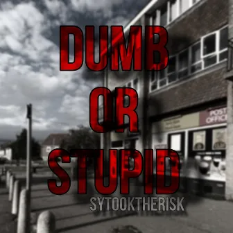 Dumb or Stupid Freestyle by SY