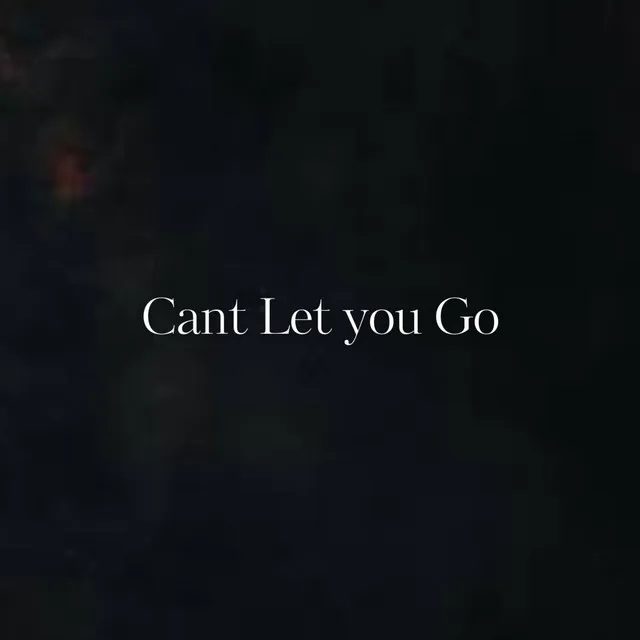 Cant Let You Go