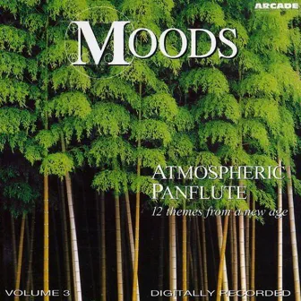 Moods - Atmospheric Panflute by Peter Weekers