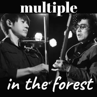 in the forest by Multiple